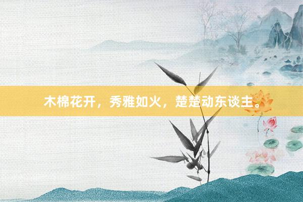 木棉花开，秀雅如火，楚楚动东谈主。