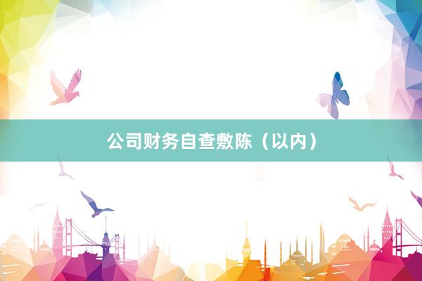 公司财务自查敷陈（以内）